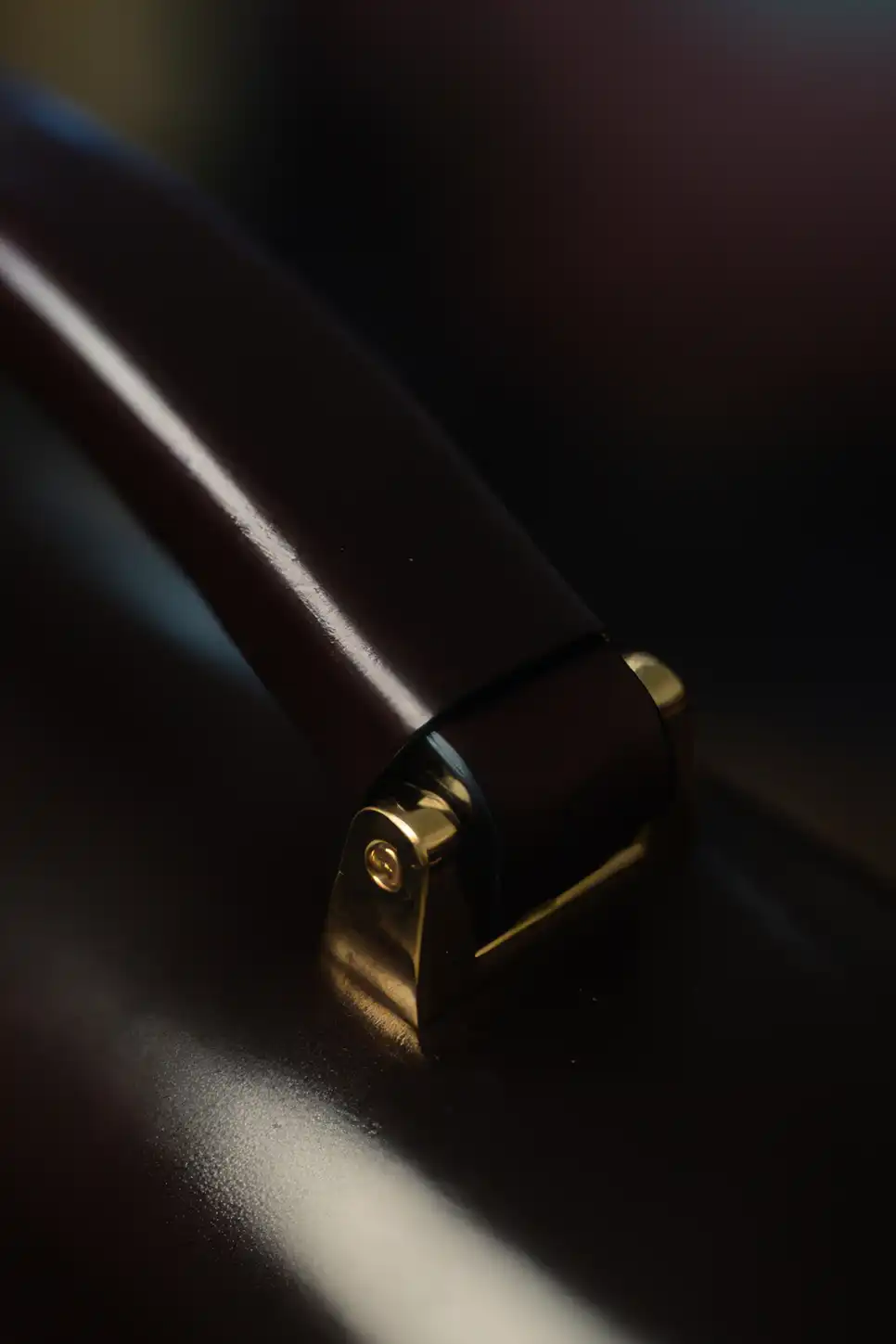 Herrentausche aus Leder mit goldener Schnalle von Maren Dessel